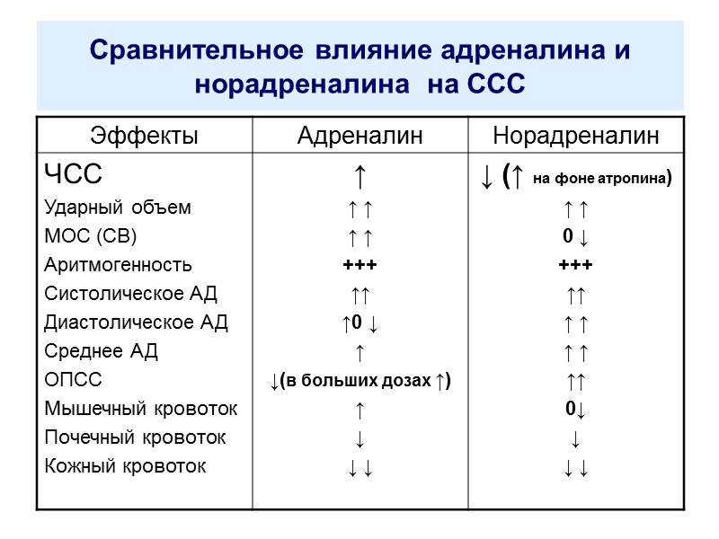 Сравнительное влияние адреналина и норадреналина  на ССС